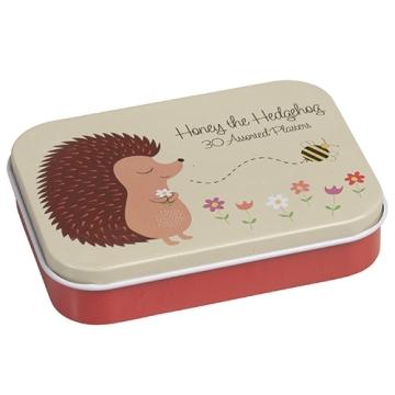 Pflaster Igel