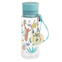 Wasserflasche Kaktus