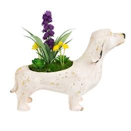 Hund Blumentopf