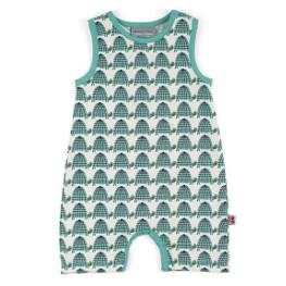Kombi Turtle Froy & Dind