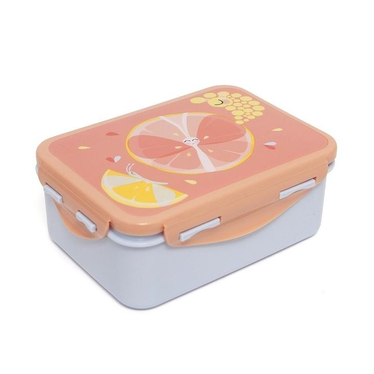 Lunchbox Flies