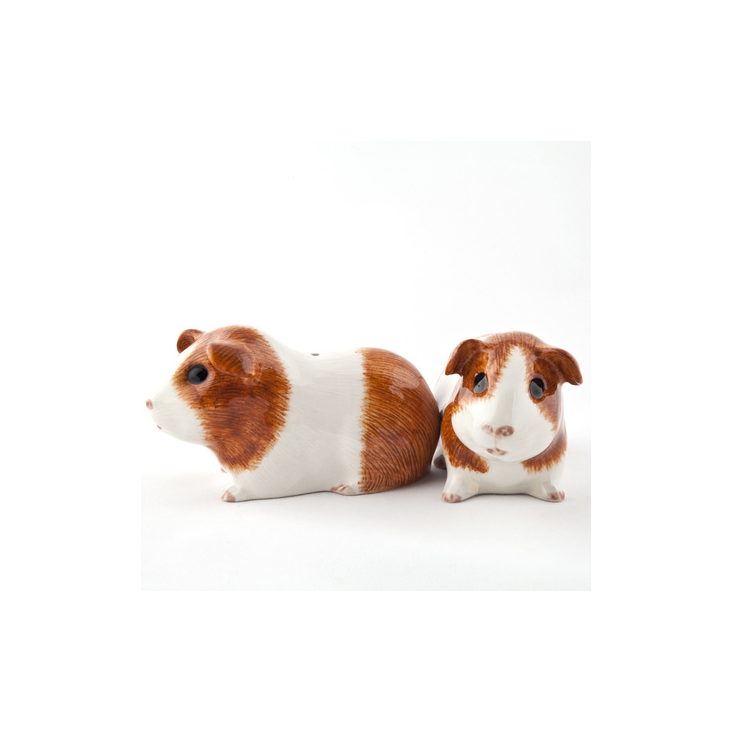 Meerschweinchen Salz und Pfeffer