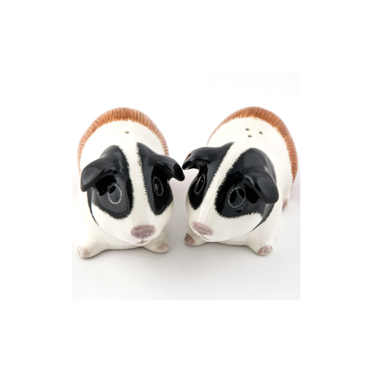 Meerschweinchen Salz und Pfeffer