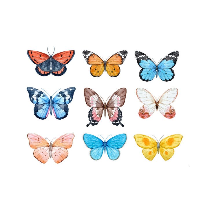 Postkarte Schmetterlinge