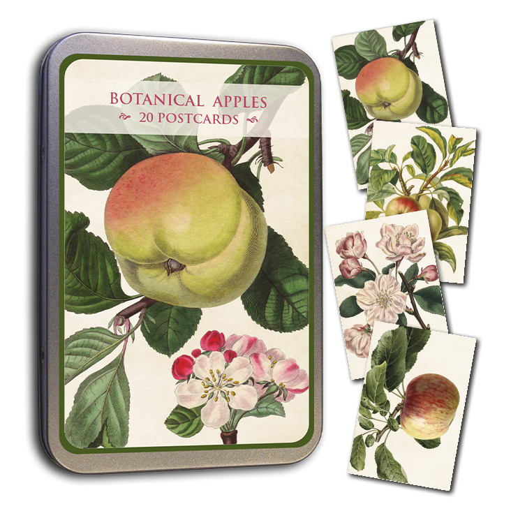 Postcards in Tin Botanical Apples