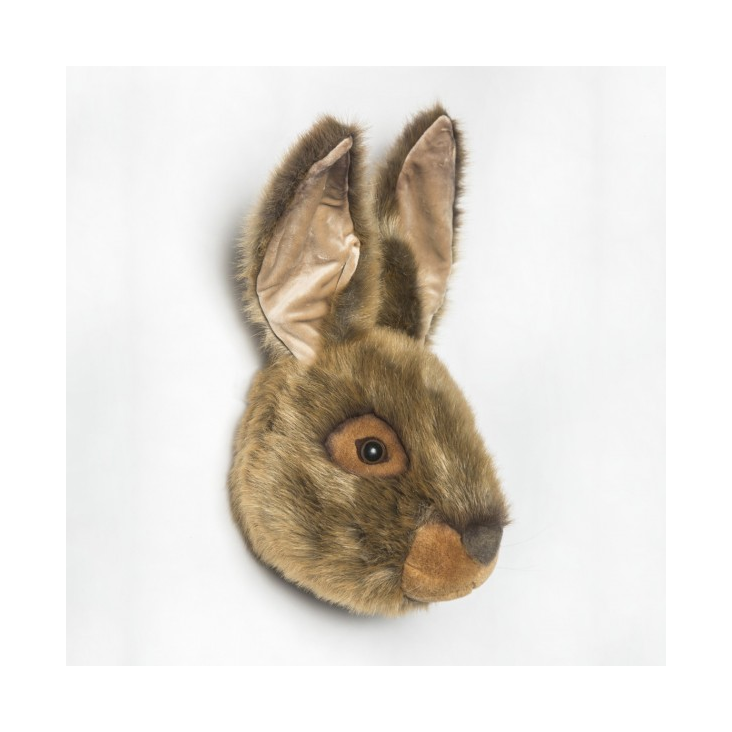 Trophäe Hase Lewis
