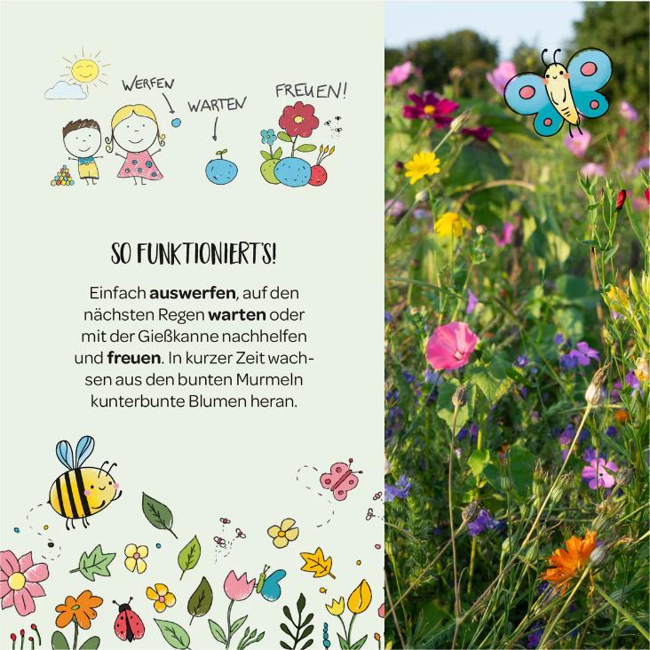 1er Blumenmurmeln - 1