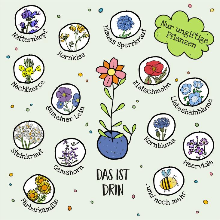 1er Blumenmurmeln - 0