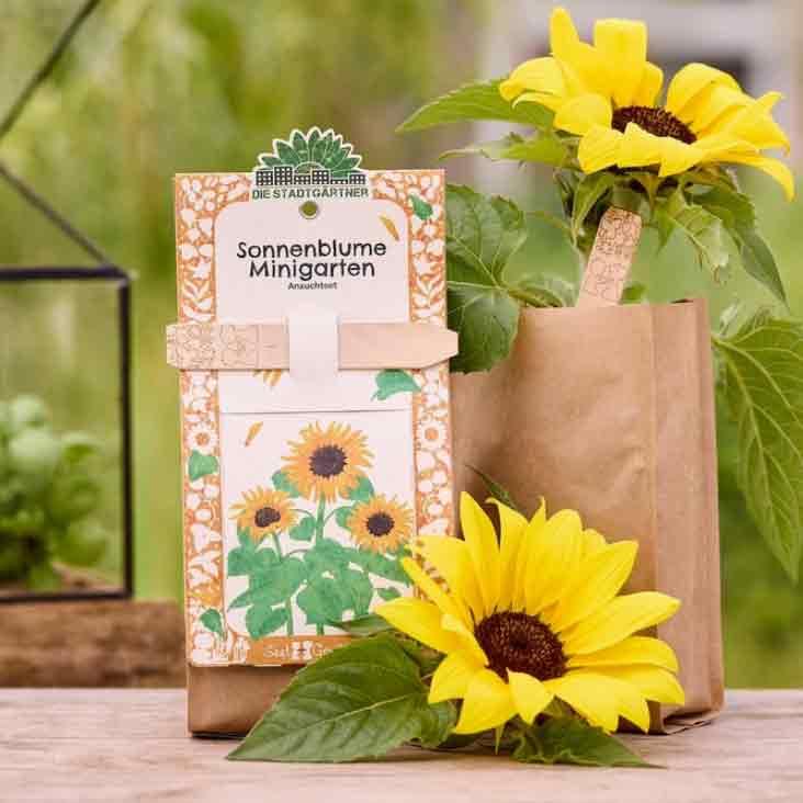 Minigarten - Sonnenblume - BIO Anzuchtset