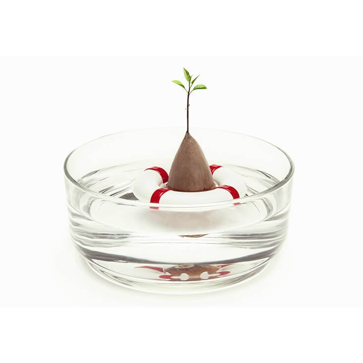 Sea Guard - Avocado Baum Ahoi!