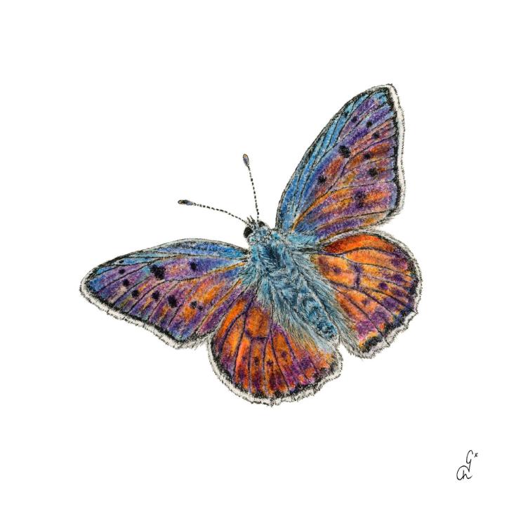 Cocktail-Servietten Papillon