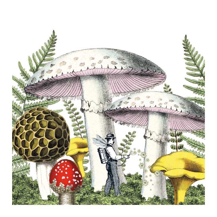 Servietten Mushrooms