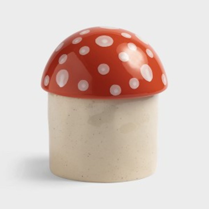 Dose Mushroom Klein