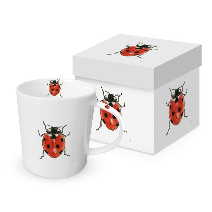 Tasse Madeleine sur blanc