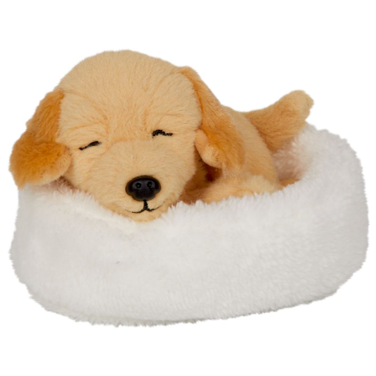 Schlafender Hund
