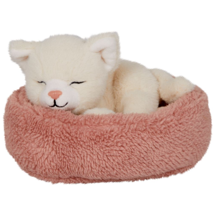 SCHLAFENDER Katze