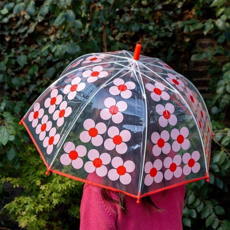 Regenschirm - Gänseblümchen