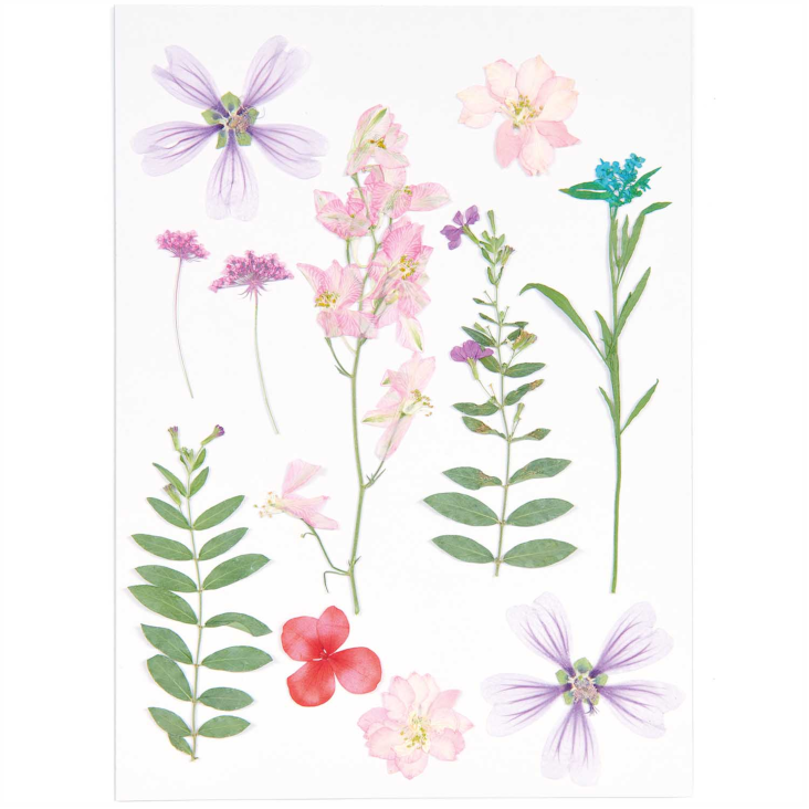 GEPRESSTE BLÜTEN MIX SET Rosa - Lila 11 STÜCK