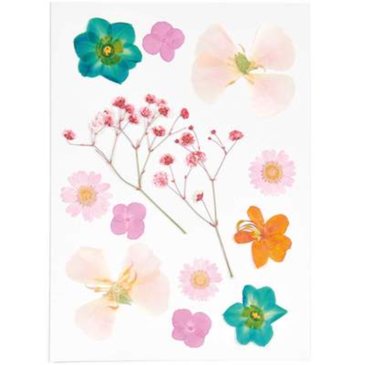 GEPRESSTE BLÜTEN MIX SET ORANGE-TÜRKIS 13 STÜCK