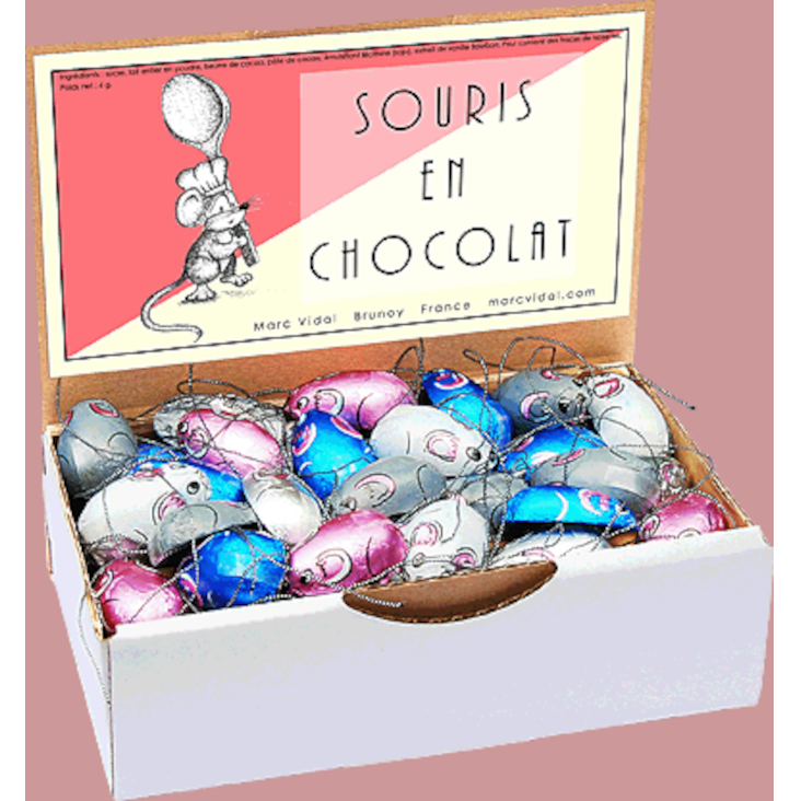 Souris en Chocolat