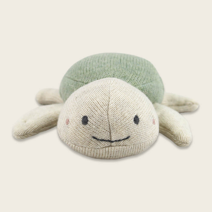 Babyrassel Schildkröte Mint
