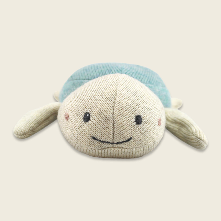 Babyrassel Schildkröte Hellblau