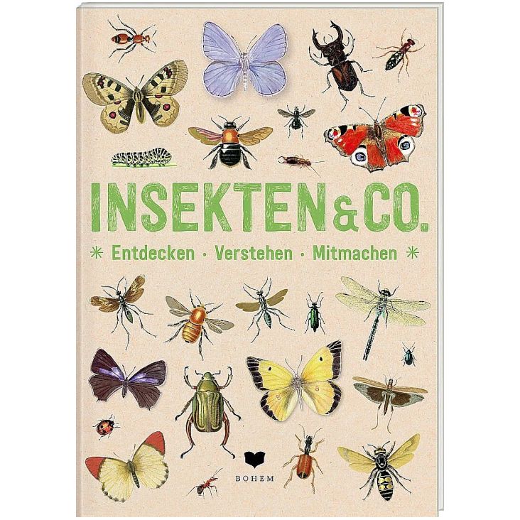 Insekten und Co. zum Mitmachen