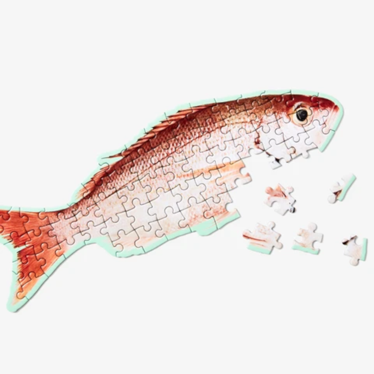 Puzzle Fish