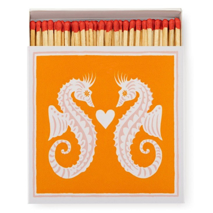 Safety Matches Seahorses