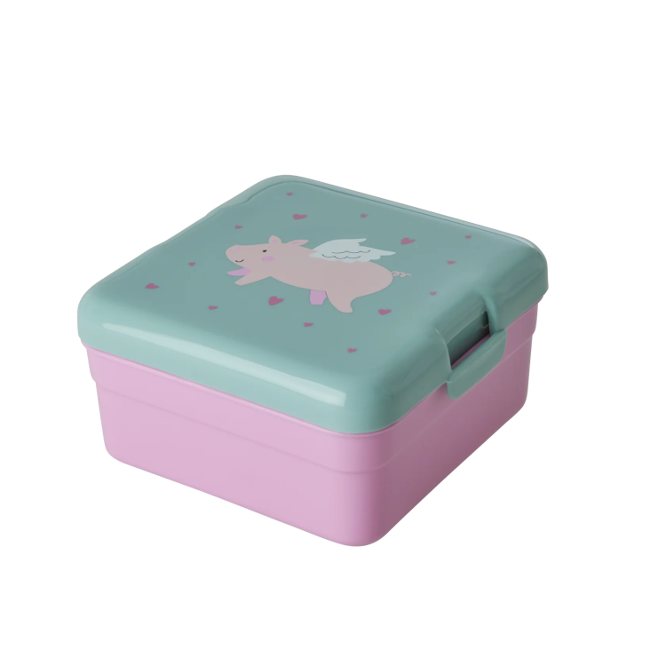 Small Lunchbox with Flying Pig print