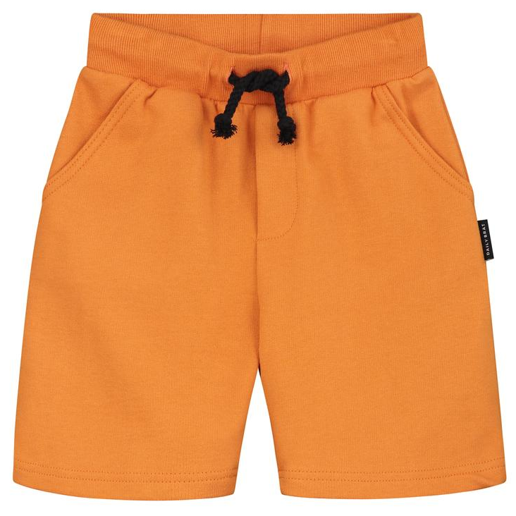 Miles Shorts Canyon Clay