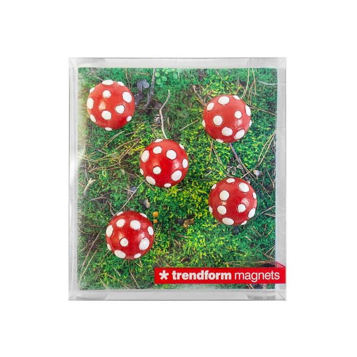 Magnet Mushroom