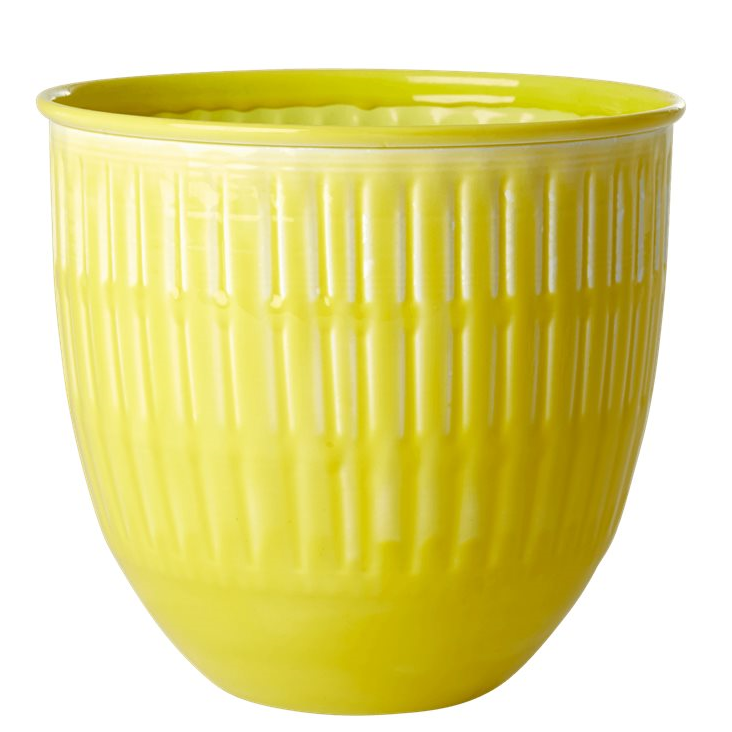 Rice Blumentopf Gelb Gross