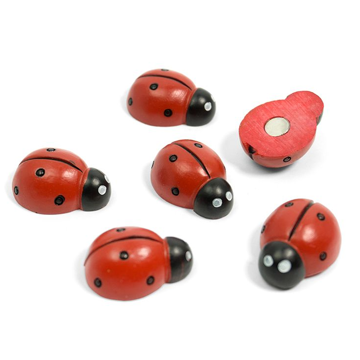 Magnete Ladybug 6er Set rot