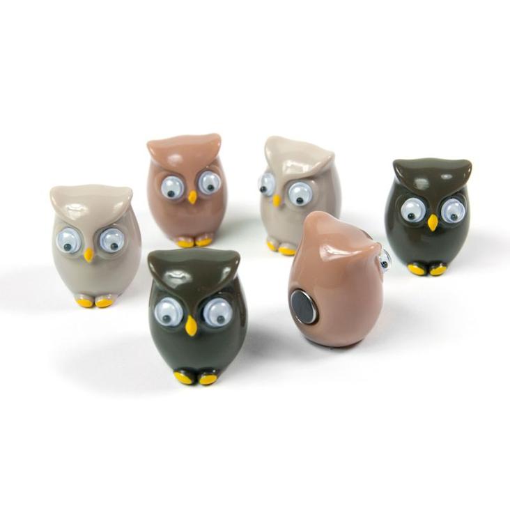Magnete Eule 6er Set