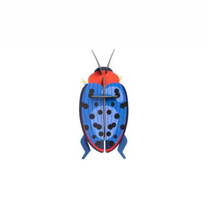 Wall Decor - Fungus Beetle