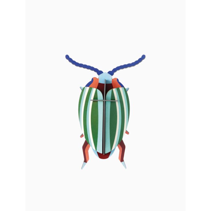 Wall Decor - Rainbow Leaf Beetle