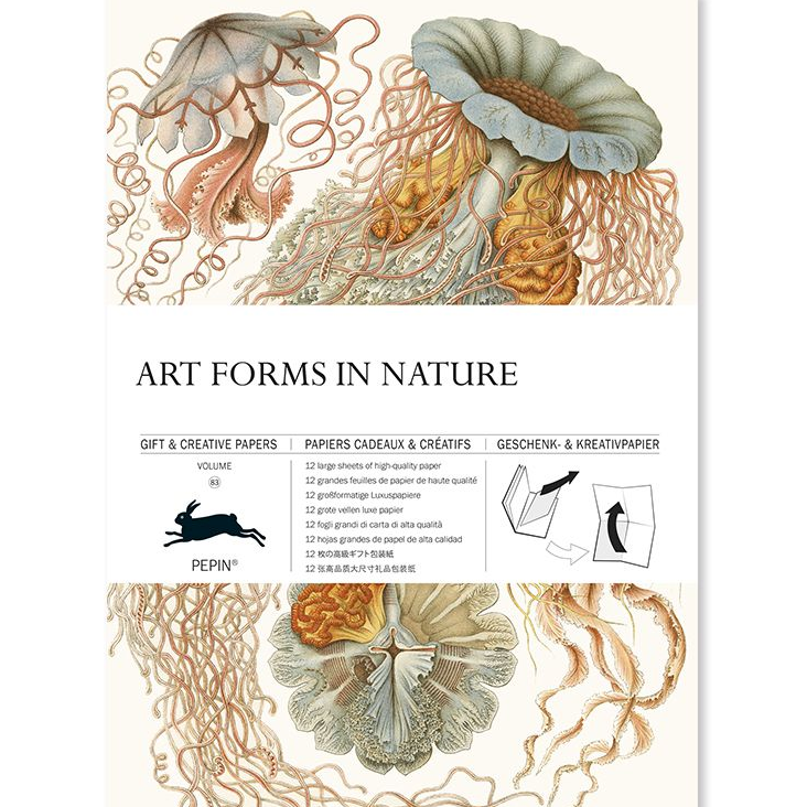 Gift & Creative Paper Art Forms