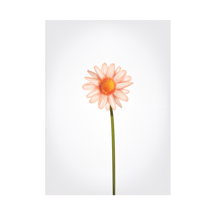 Postkarte Blume Nr. 59