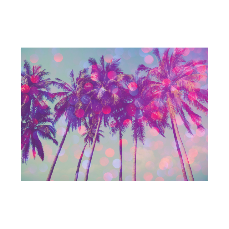 Postkarte Palmen nr 4