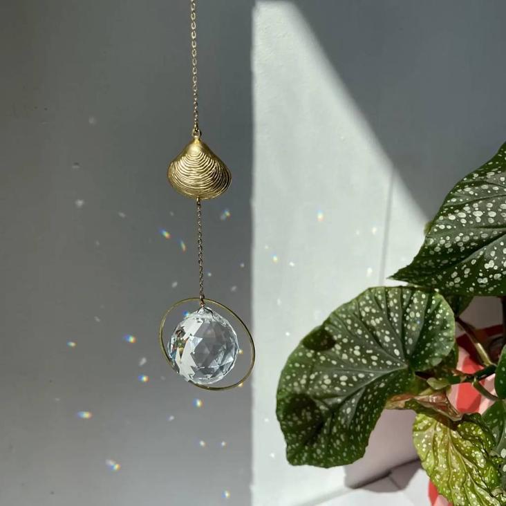 Suncatcher Organisch Muschel