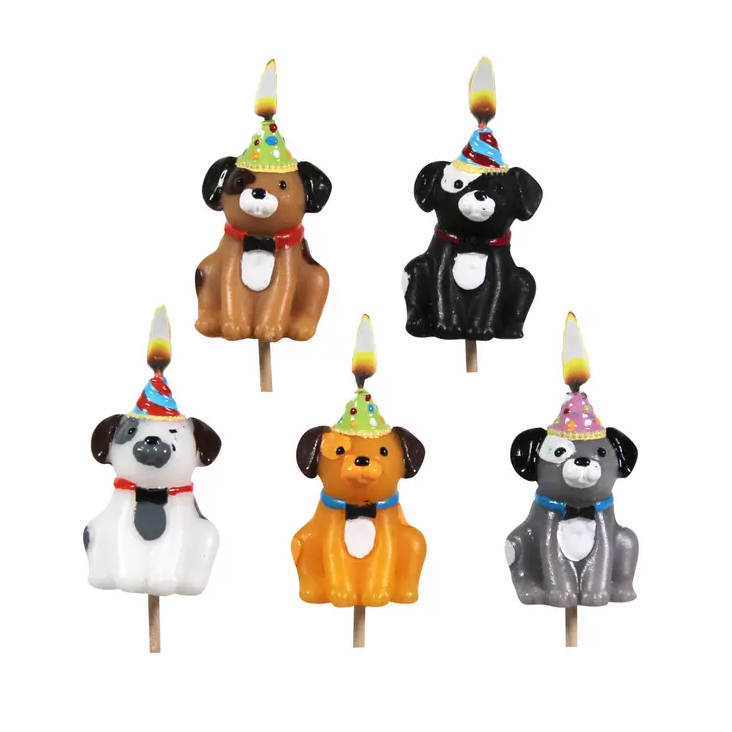 Hunde in Partyhüten Kerzen