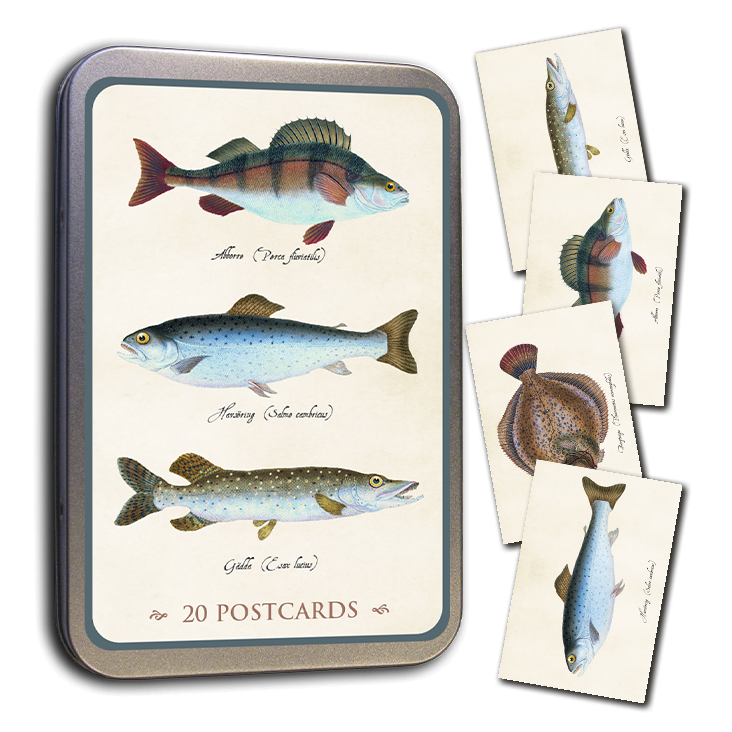 Postcards in Tin Fishes