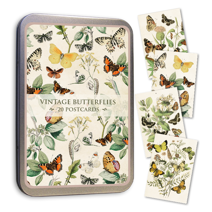 Postcards in Tin Butterflies
