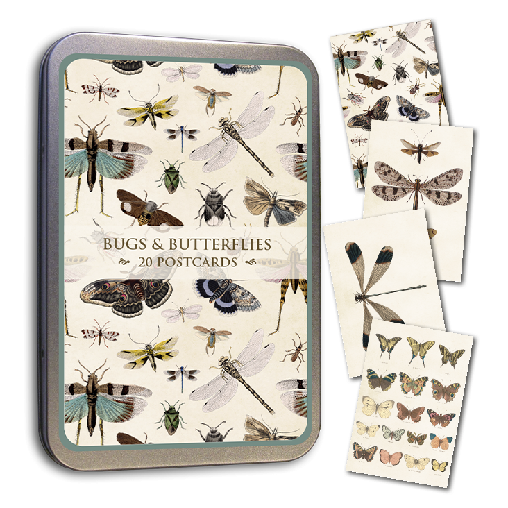 Postcards in Tin Bugs & Butterflies