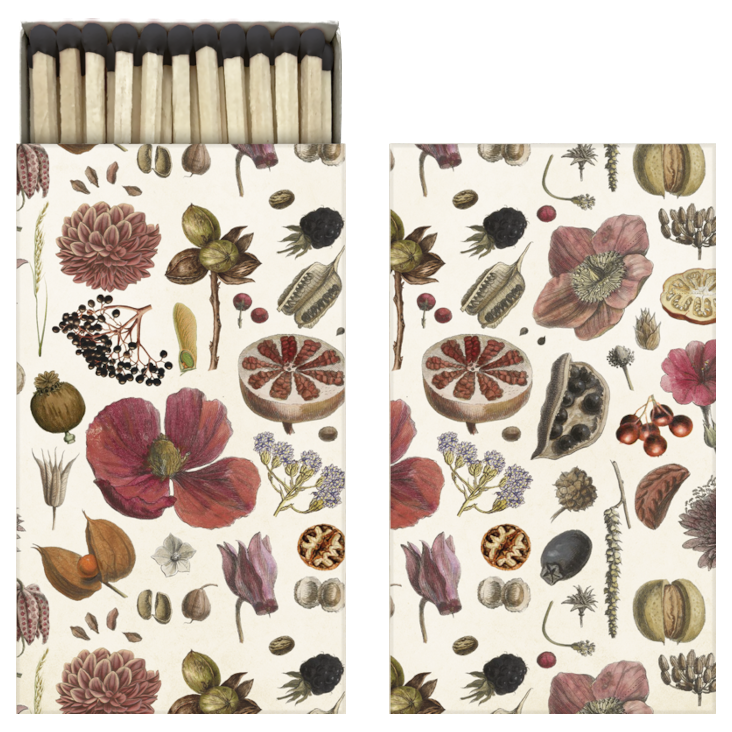 Matchboxes Seed Pods