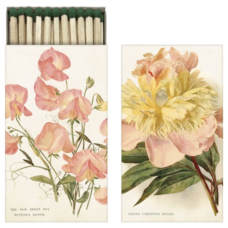Matchboxes Sweet Pea