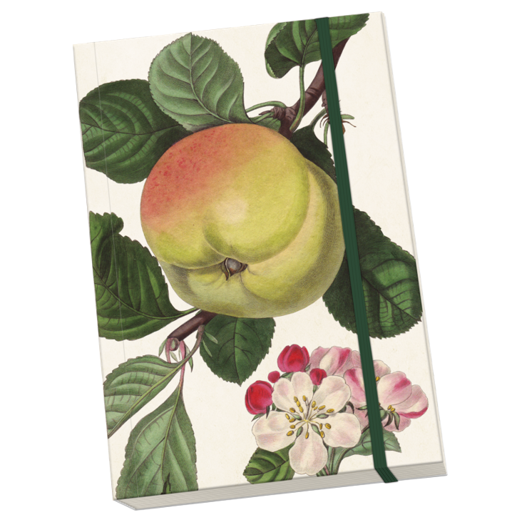 Notebook A5 Apple