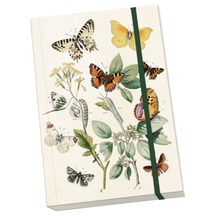 Notebook A5 Butterflies